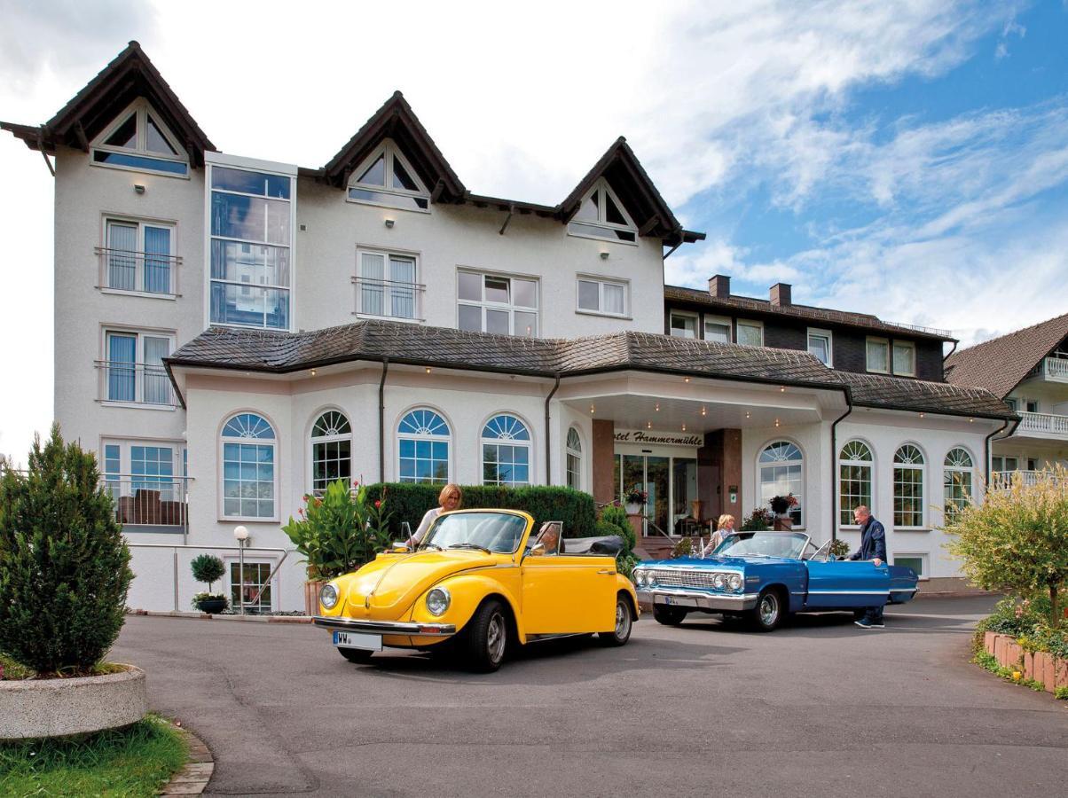 Hotel Hammermuehle Wahlrod ภายนอก รูปภาพ